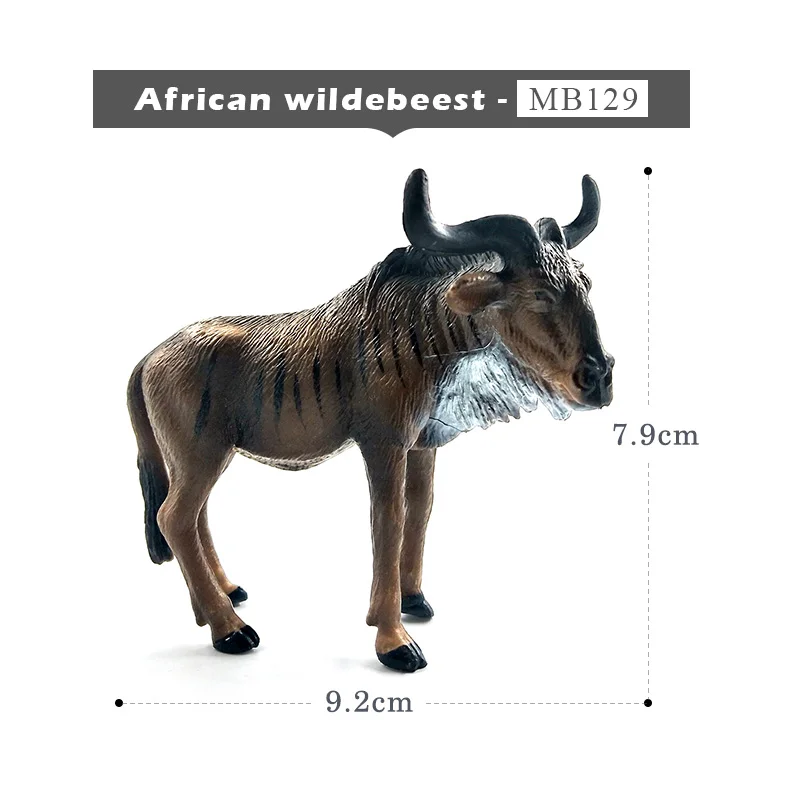 African Wildebeest