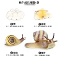 Snails - 2
