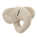 elephant-5