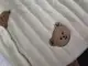 Bear Small
