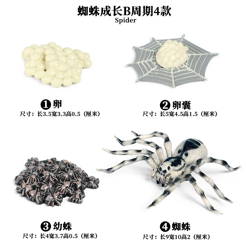 Spider - 2