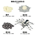 Spider - 2