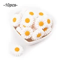 10pcs snow
