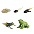 Animal 5
