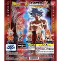 A Set of 5 Gacha