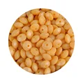 50pcs Metal gold