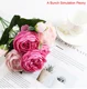 peony6