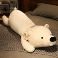 oso