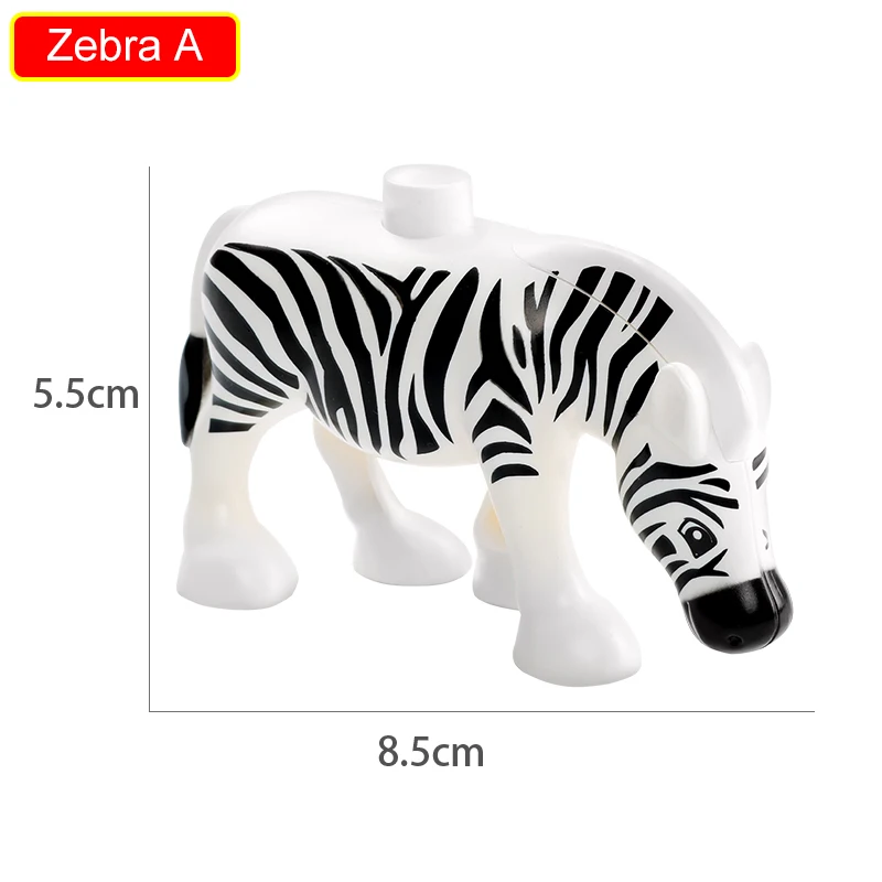 Zebra A