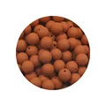 50pcs Rust brown