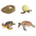 Animal 31