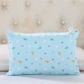 Color 23-pillowcase