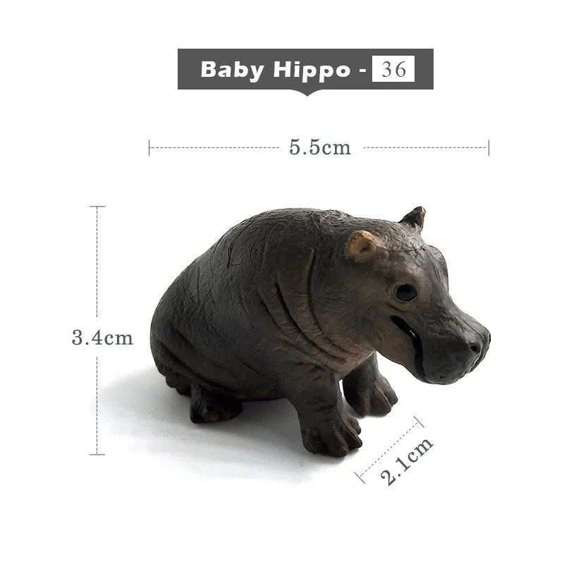 Baby Hippo