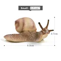 Snail