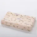 color13-pillow case