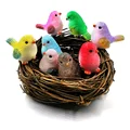 8pcs parrot 1pc Nest