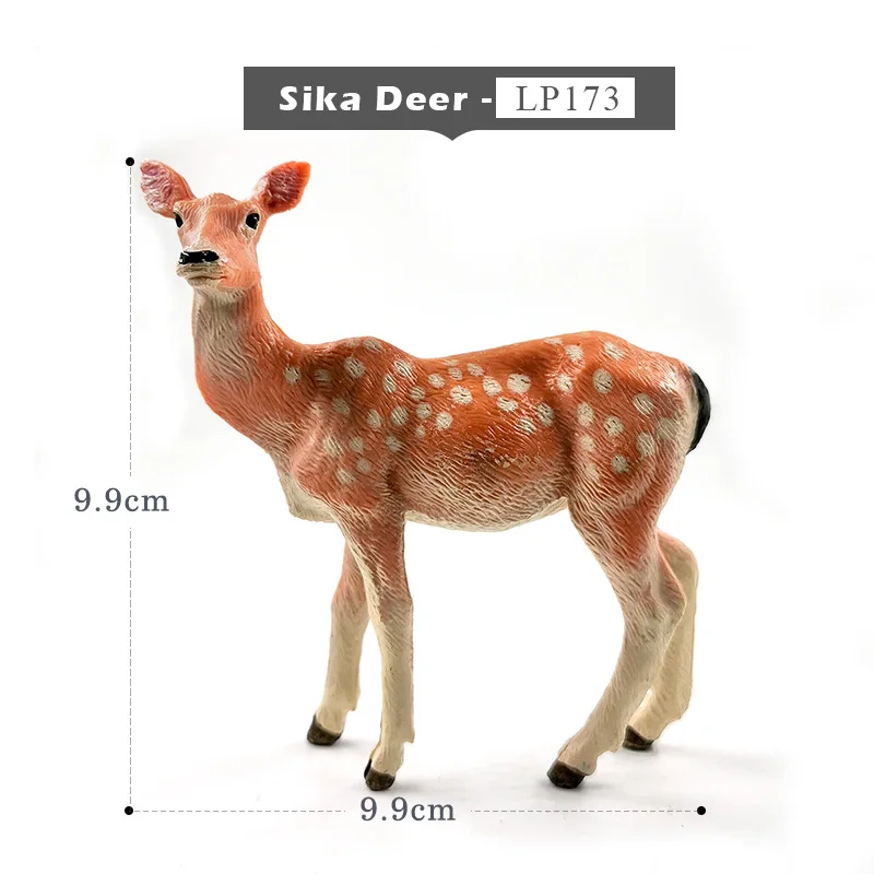 Sika Deer
