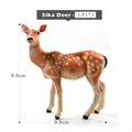 Sika Deer