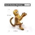 Small Golden Monkey