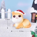 wear hat cat