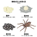 Spider - 1