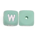 10pcs W