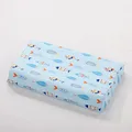 color17-pillow case