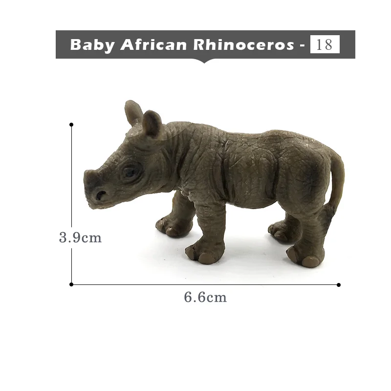 Small Rhinoceros