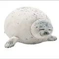 Plata