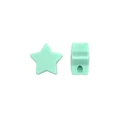 30pcs Mint green