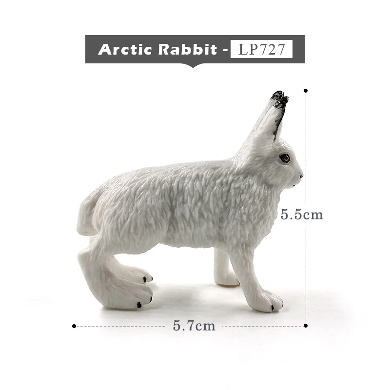 Arctic Rabbit
