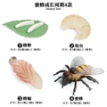 Bee - 2
