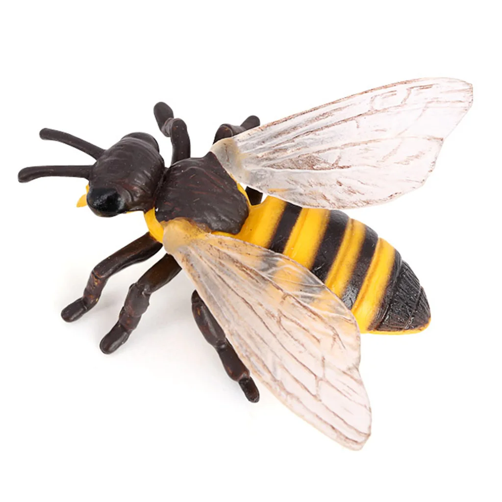 Plastic Kids Insect Bee Growth Life Cycle Figures Education Learning Toys