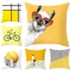 C Pillow Case