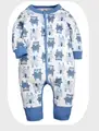 Blue bear