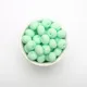 30pcs Mint