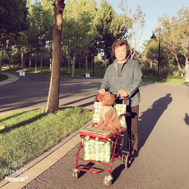Andador rodante portátil plegable con asiento y ruedas, marco de acero grueso compatible con carrito de compras para personas mayores de 220 libras - imagen 2