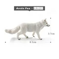 Arctic Fox