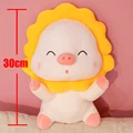 30CM