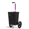 Morado