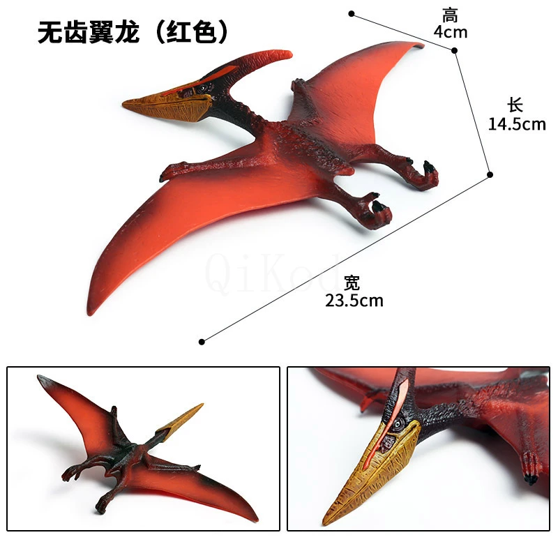Animal 12