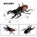 Animal 15