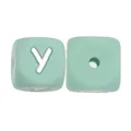 10pcs Y