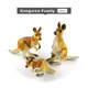 Kangaroo Family