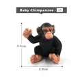 Small Chimpanzee
