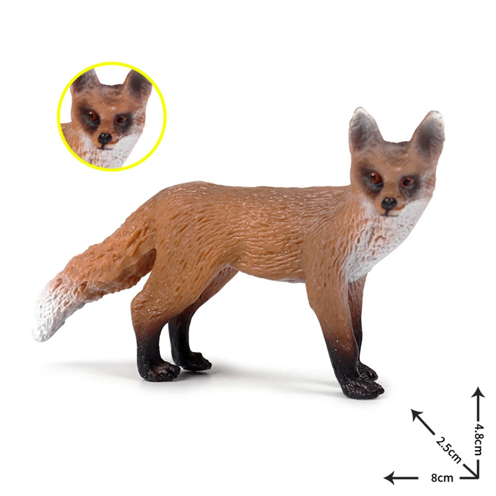 Dimensiones ideales - Tamaño perfecto