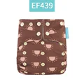 EF439