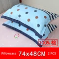 2 pcs pillowcases I