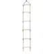 6 Rungs