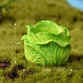 Cabbage